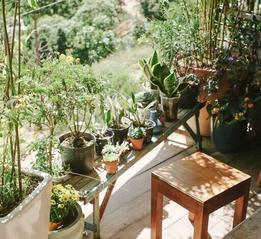 Tips for Creating a Relaxing Home Garden Space