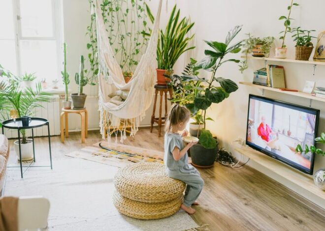 Budget-Friendly Tips for a Cosy and Inviting Home